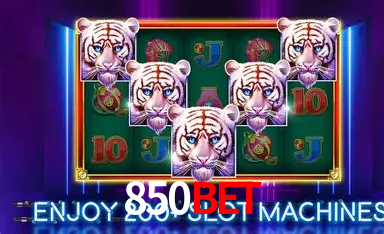 Descubra o Mundo do Cassino Online com 850bet